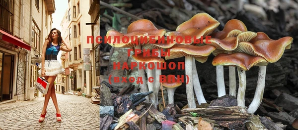 прущая мука Белокуриха