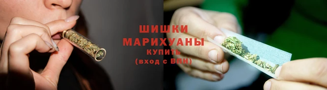стаф Богородицк