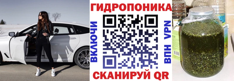Купить где  Муравленко  Каннабис OG Kush 